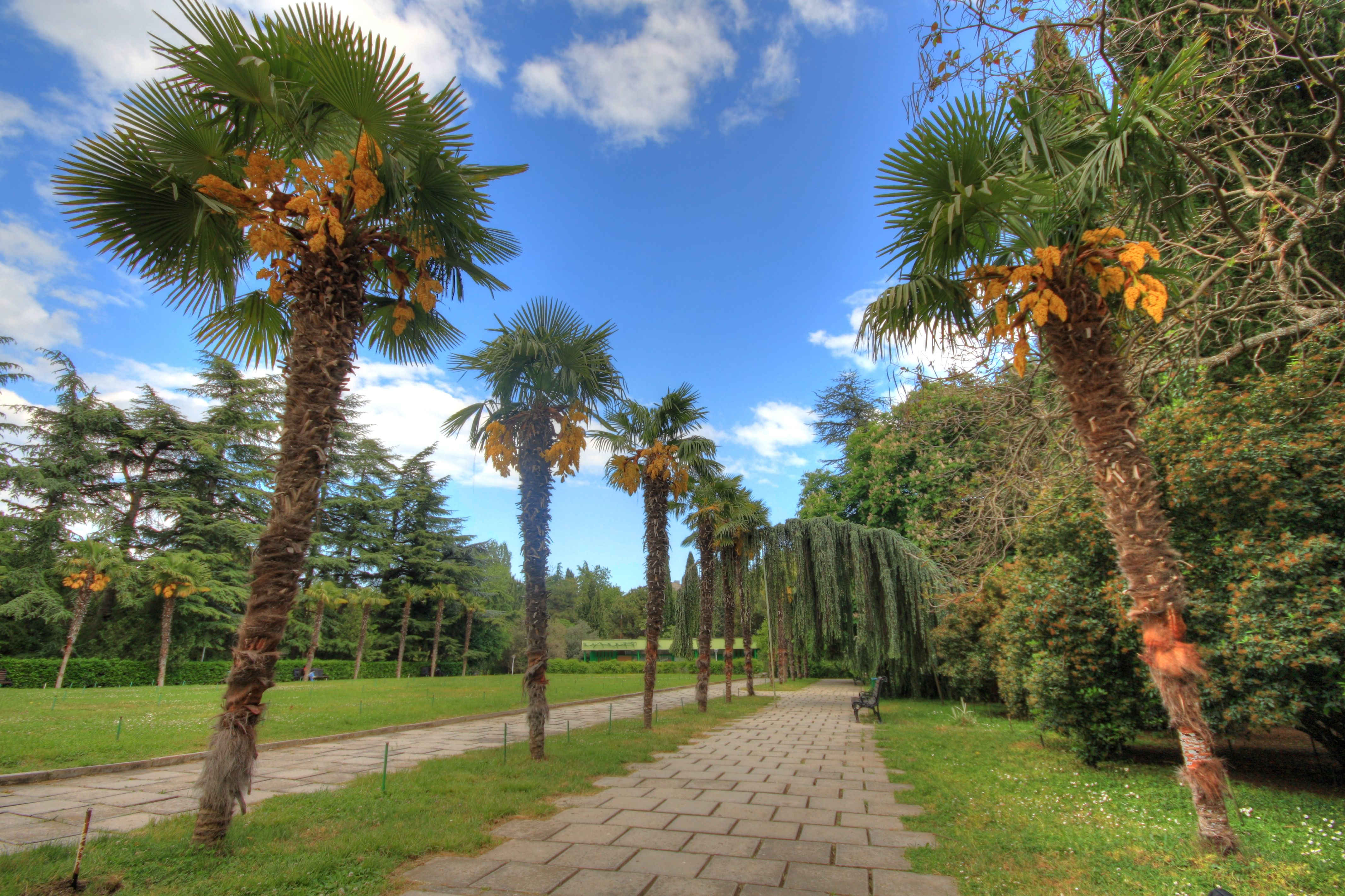 Изображение недоступно